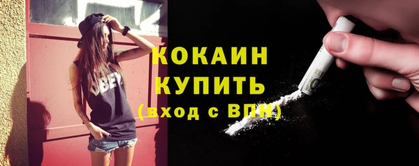 мяу мяу мука Алагир