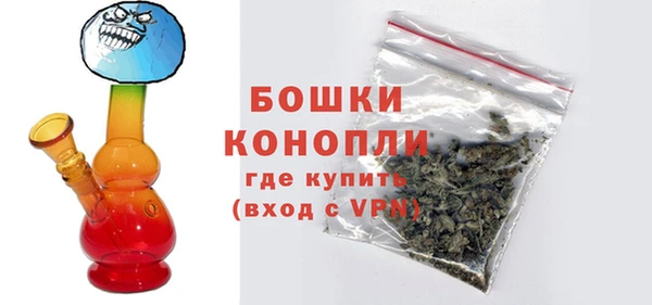 дмт Нея