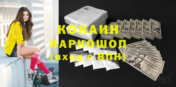 дмт Нея