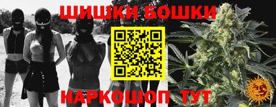 скорость Бийск