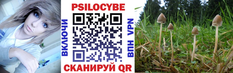 Псилоцибиновые грибы Cubensis  Нефтеюганск 