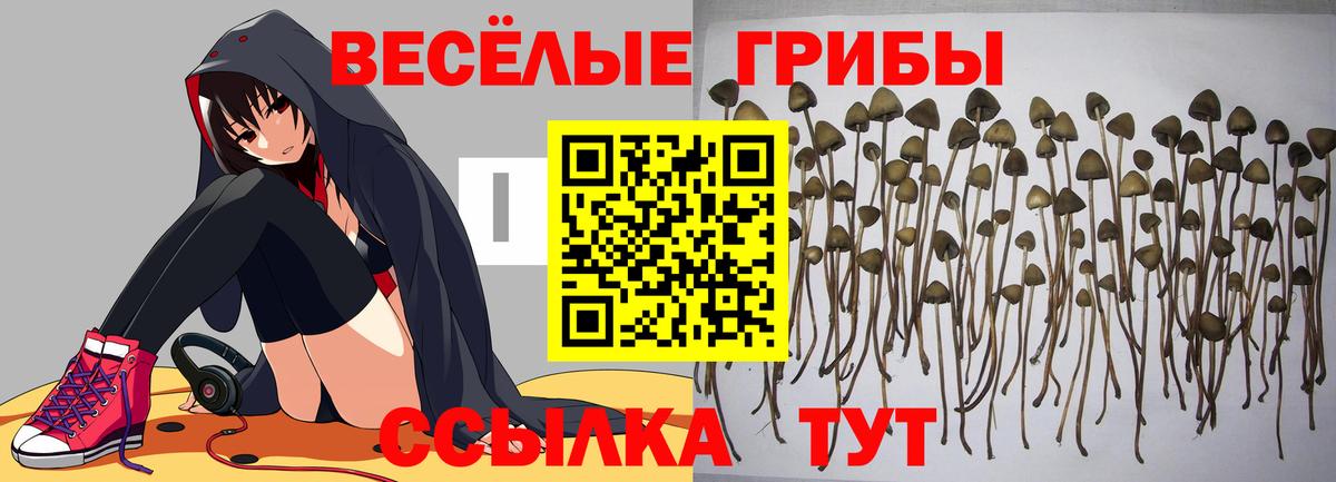 Галлюциногенные грибы ЛСД  Вход с VPN  Нефтеюганск  Галлюциногенные грибы GOLDEN TEACHER 